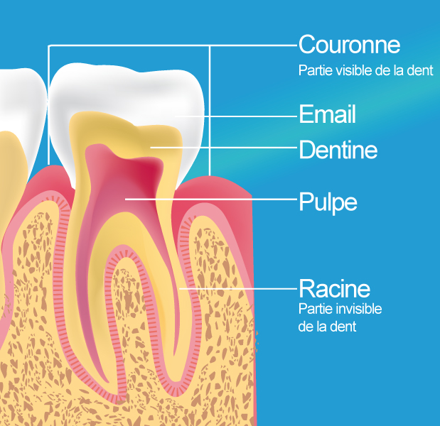 Devitalisation dentaire Saint-Ouen-l'AumÔne